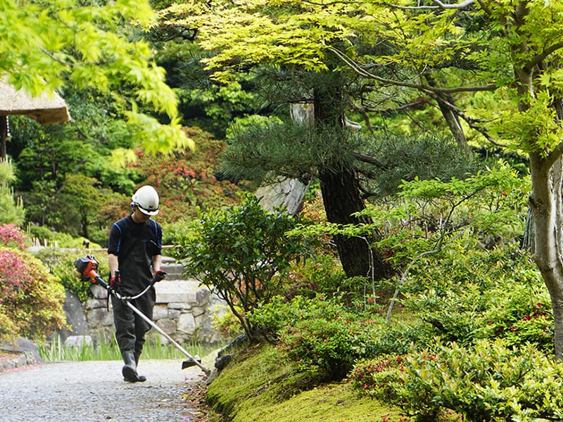 草刈りの様子